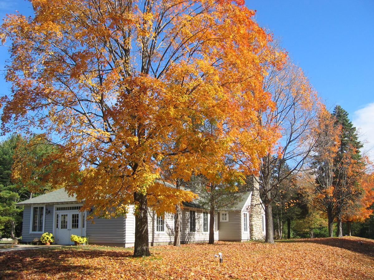Tuxbury Pond Camping Resort Tiny House Murphy South Hampton Exterior photo