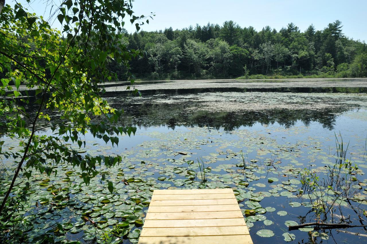 Tuxbury Pond Camping Resort Tiny House Murphy South Hampton Exterior photo
